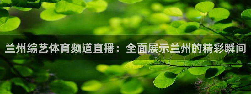 兰州综艺体育频道直播：全面展示兰州的精彩瞬间