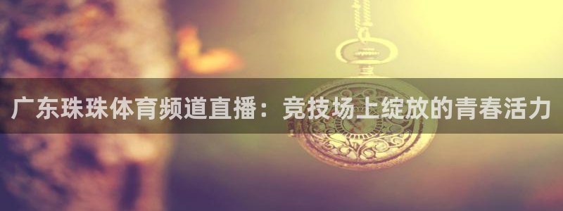 广东珠珠体育频道直播：竞技场上绽放的青春活力