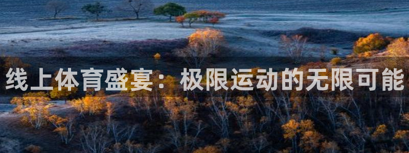 线上体育盛宴：极限运动的无限可能