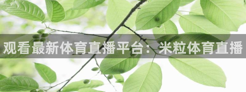 观看最新体育直播平台：米粒体育直播