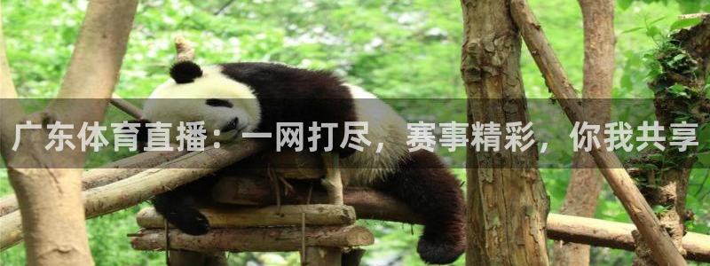 广东体育直播：一网打尽，赛事精彩，你我共享