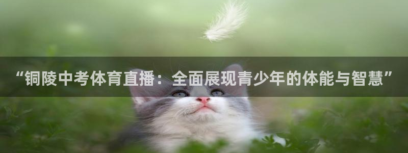 “铜陵中考体育直播：全面展现青少年的体能与智慧”