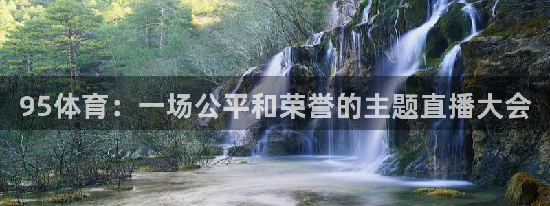 95体育：一场公平和荣誉的主题直播大会