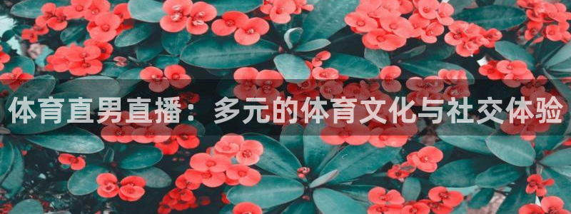 体育直男直播：多元的体育文化与社交体验