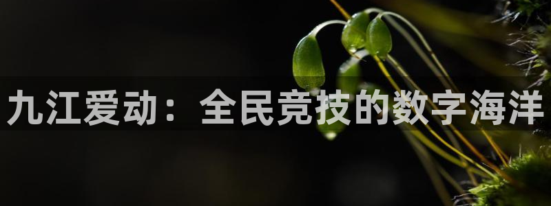 九江爱动：全民竞技的数字海洋