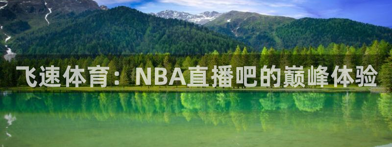 飞速体育：NBA直播吧的巅峰体验