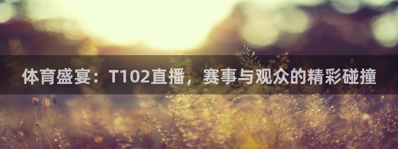 体育盛宴：T102直播，赛事与观众的精彩碰撞