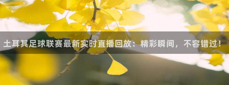土耳其足球联赛最新实时直播回放：精彩瞬间，不容错过！