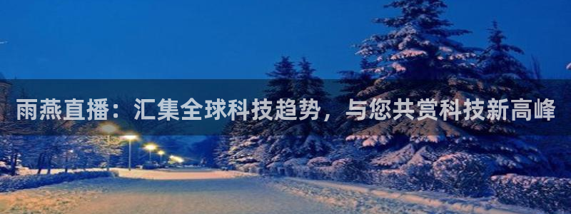 雨燕直播：汇集全球科技趋势，与您共赏科技新高峰