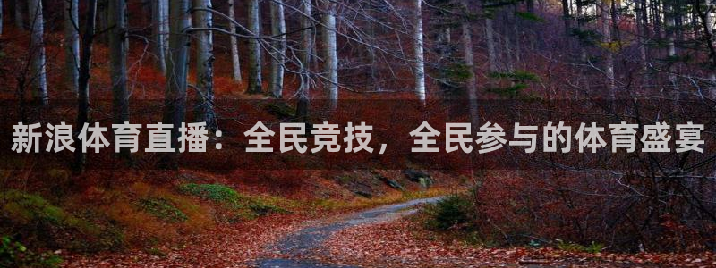 新浪体育直播：全民竞技，全民参与的体育盛宴