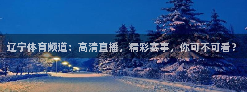 辽宁体育频道：高清直播，精彩赛事，你可不可看？