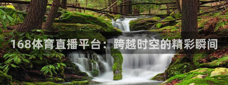 168体育直播平台：跨越时空的精彩瞬间