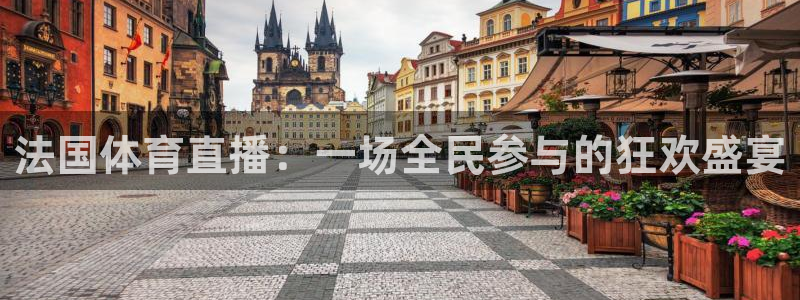 法国体育直播：一场全民参与的狂欢盛宴