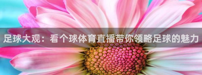 足球大观：看个球体育直播带你领略足球的魅力