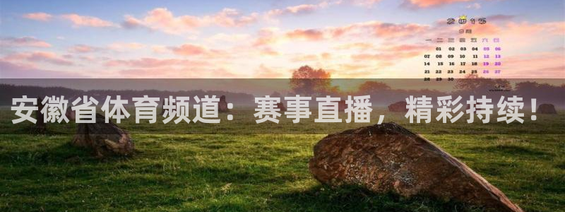 安徽省体育频道：赛事直播，精彩持续！