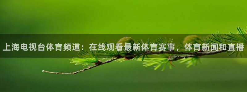 上海电视台体育频道：在线观看最新体育赛事，体育新闻和直播