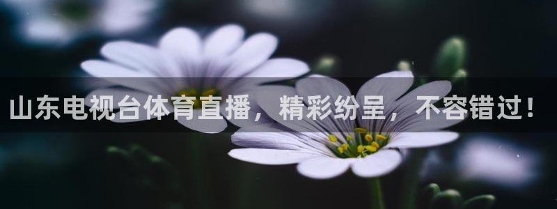 山东电视台体育直播，精彩纷呈，不容错过！