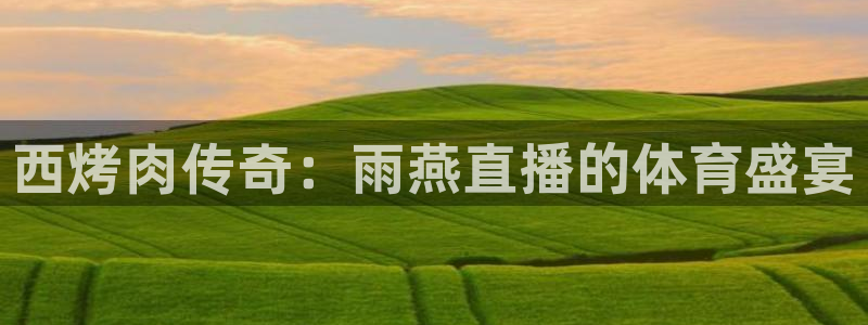 西烤肉传奇：雨燕直播的体育盛宴