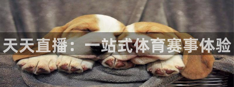 天天直播：一站式体育赛事体验