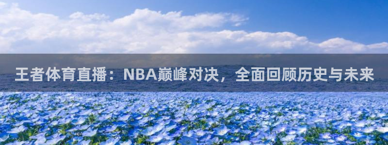 王者体育直播：NBA巅峰对决，全面回顾历史与未来