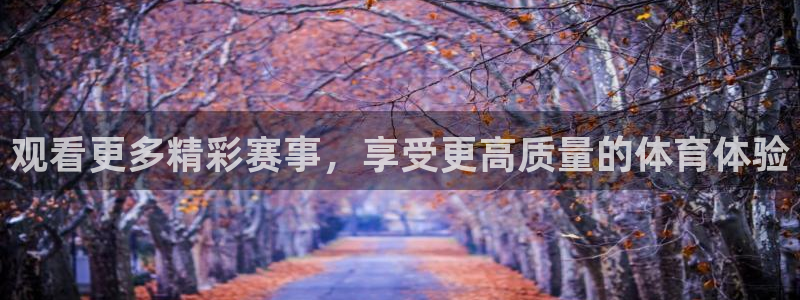 观看更多精彩赛事，享受更高质量的体育体验