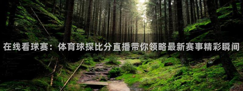 在线看球赛：体育球探比分直播带你领略最新赛事精彩瞬间