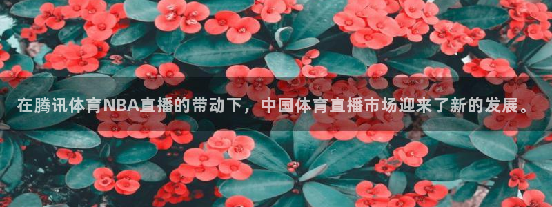在腾讯体育NBA直播的带动下，中国体育直播市场迎来了新的发展。