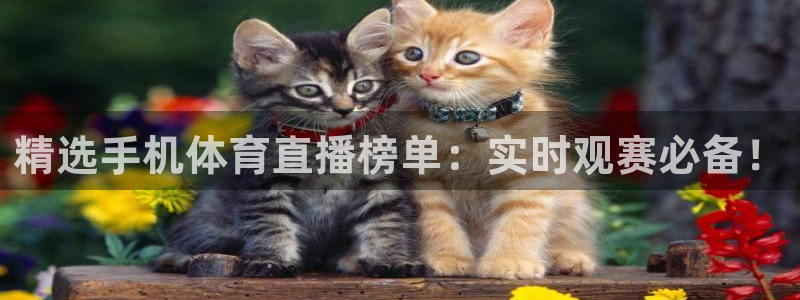 精选手机体育直播榜单：实时观赛必备！