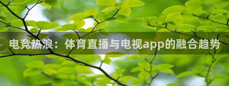 电竞热浪：体育直播与电视app的融合趋势