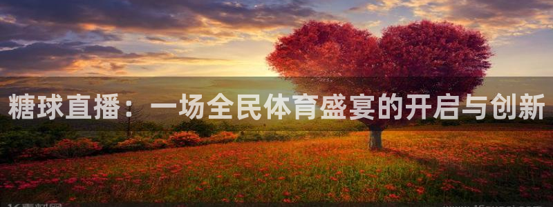 糖球直播：一场全民体育盛宴的开启与创新
